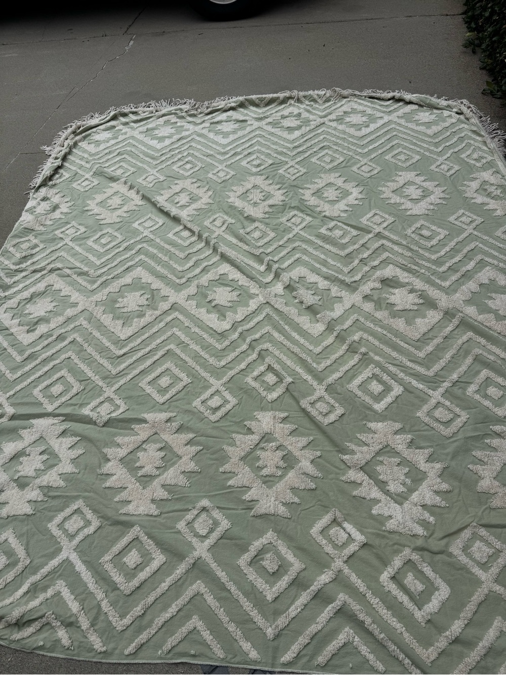 Sage Green Aztec print with fringe blanket or tapestry 7’x10’ - Picture 3 of 4